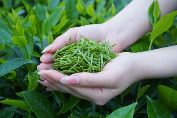 Hình ảnh bài viết