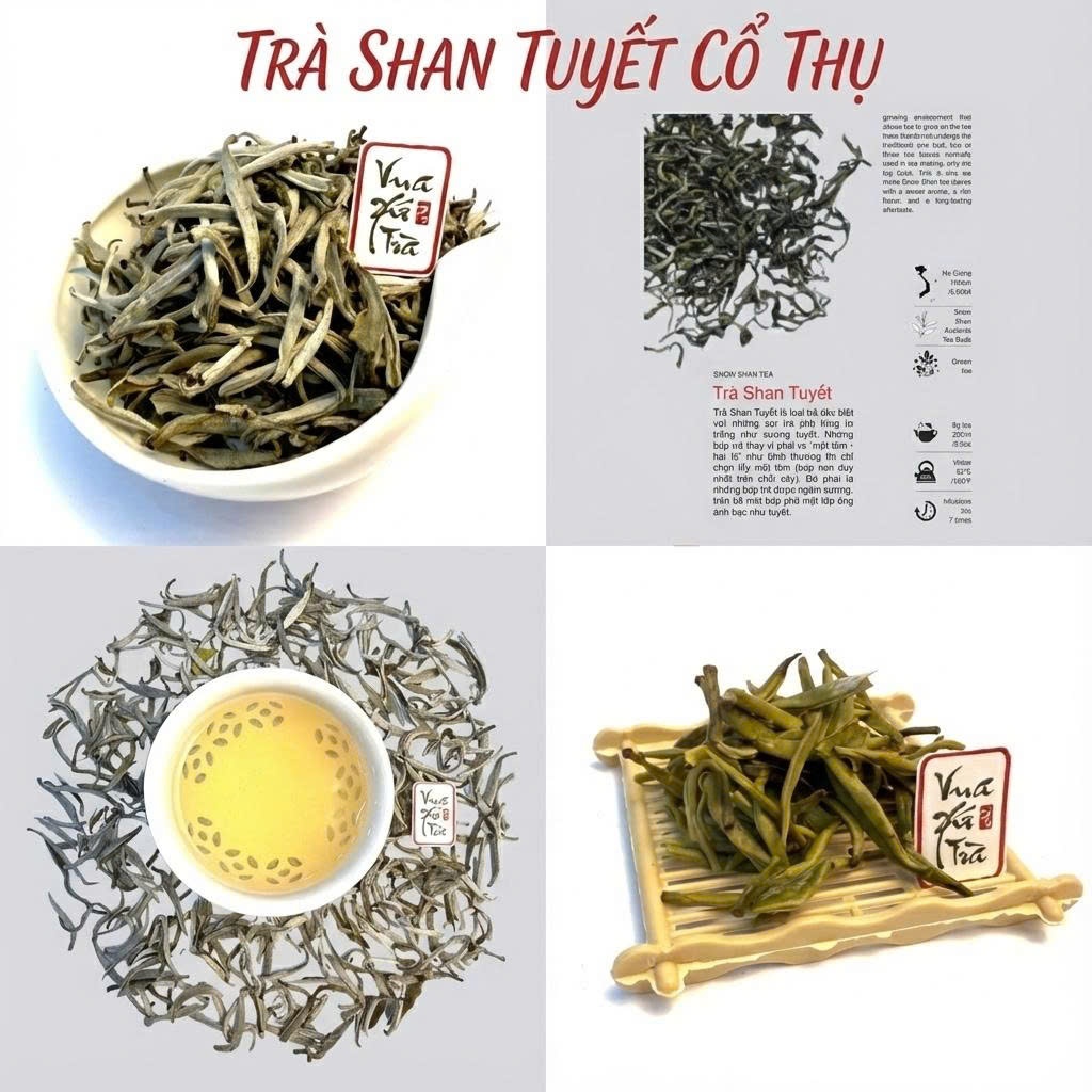 7+ Tác dụng của trà Shan Tuyết – giá trị cổ thụ không phải ai cũng biết