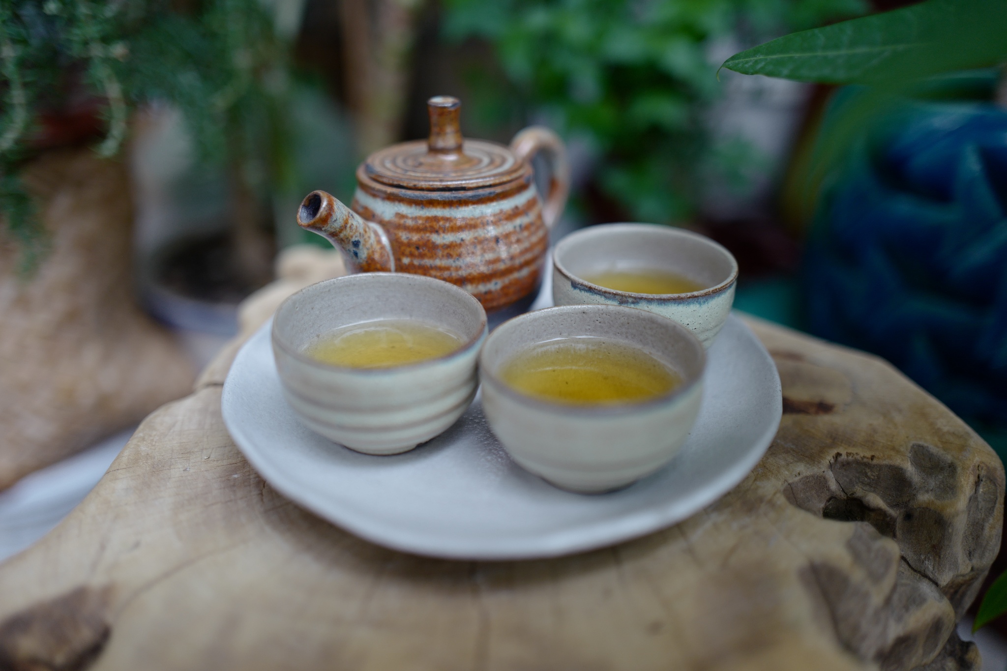 Tản mạn đường trà – Đi tìm cội nguồn của trà
