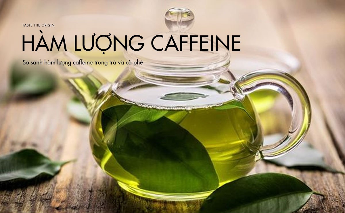 Sự khác biệt giữa trà Thái Nguyên và trà Lâm Đồng