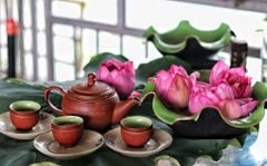 Hương Sen – Giữ Đúng Cách, Chuẩn Vị