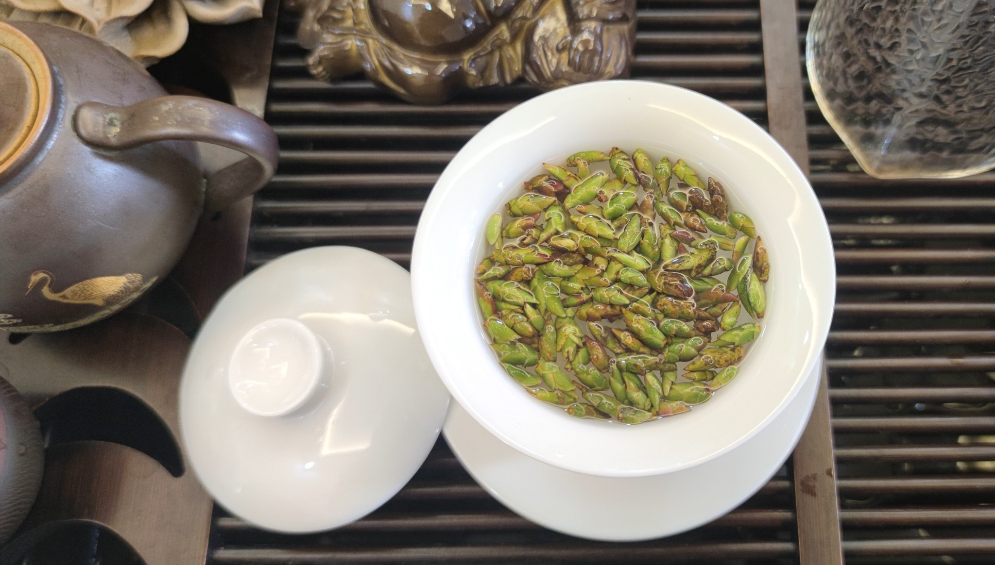 🍵 CÁCH PHA TRÀ MÓNG RỒNG CHUẨN VỊ – TINH HOA CỔ THỤ, HƠI THỞ NÚI RỪNG