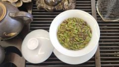 🍵 CÁCH PHA TRÀ MÓNG RỒNG CHUẨN VỊ – TINH HOA CỔ THỤ, HƠI THỞ NÚI RỪNG