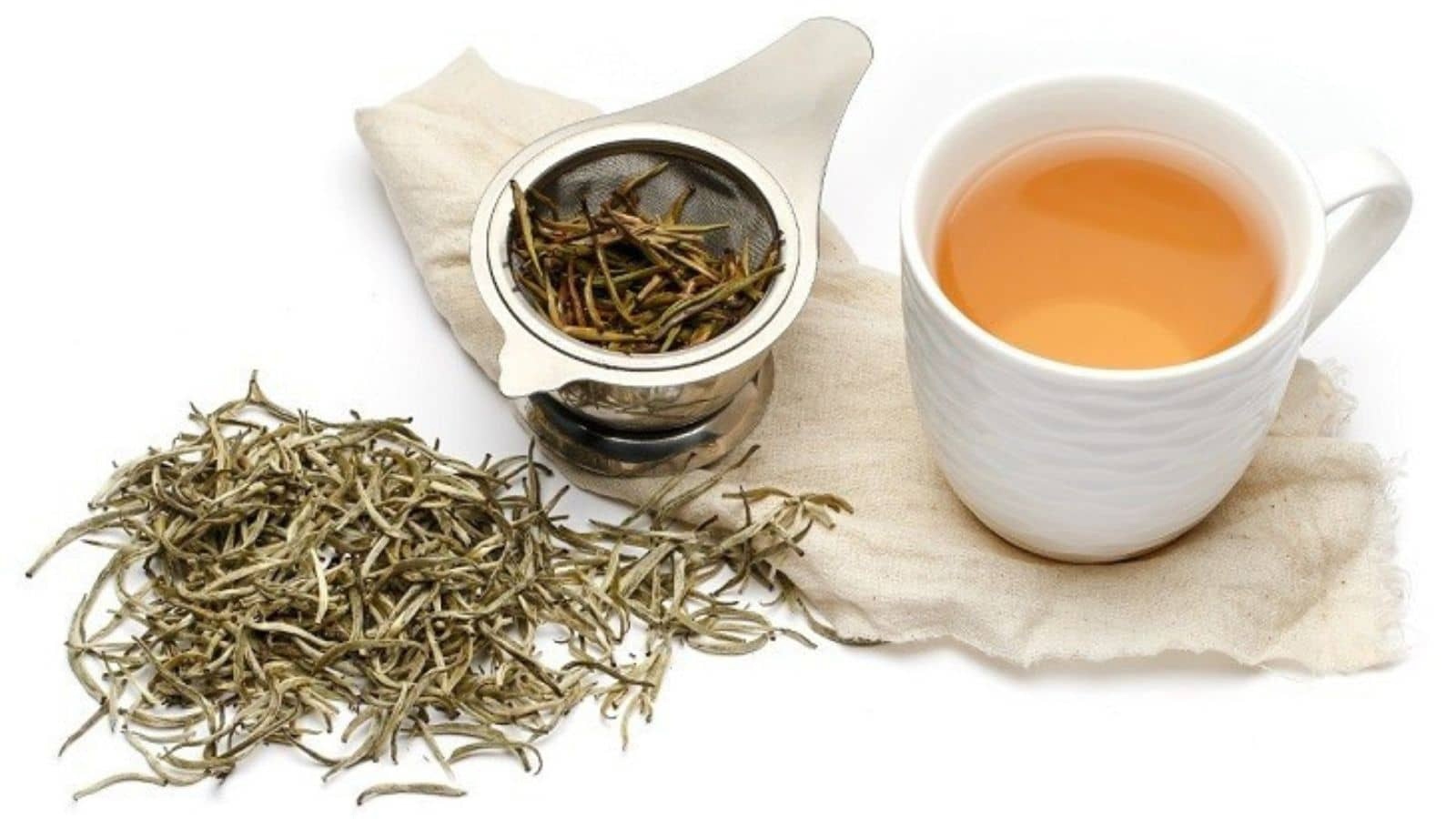 🍃 Trà Shan Tuyết – Bí Quyết Khỏe Đẹp Cho Người Cao Tuổi