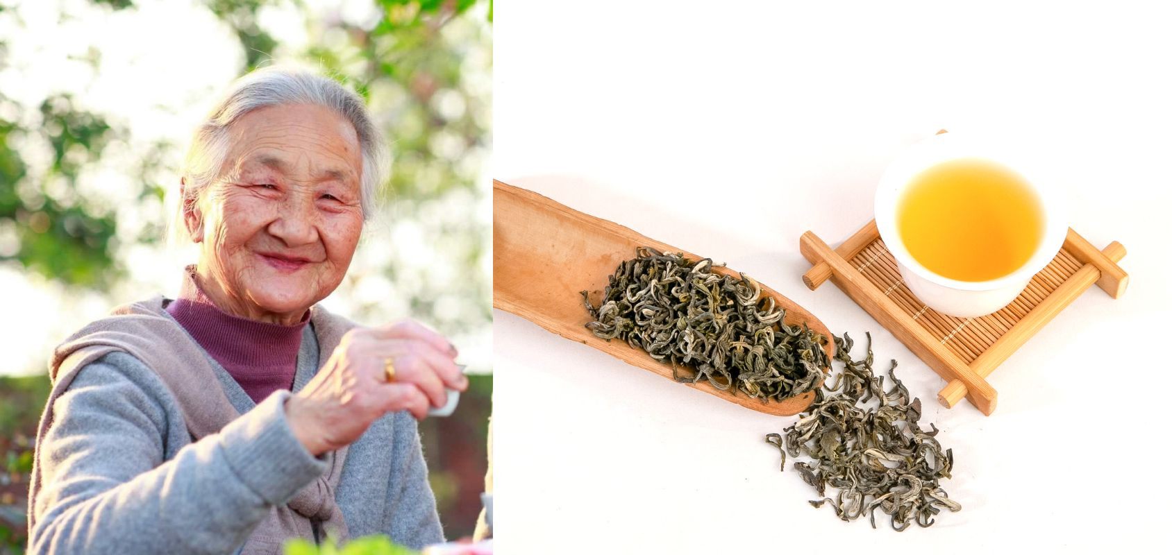 “Những Miền Trà Shan Tuyết Huyền Thoại”