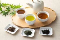 5 Dòng Trà – “Lá Chắn Xanh” Giữ Cơ Thể Vững Vàng Khi Giao Mùa
