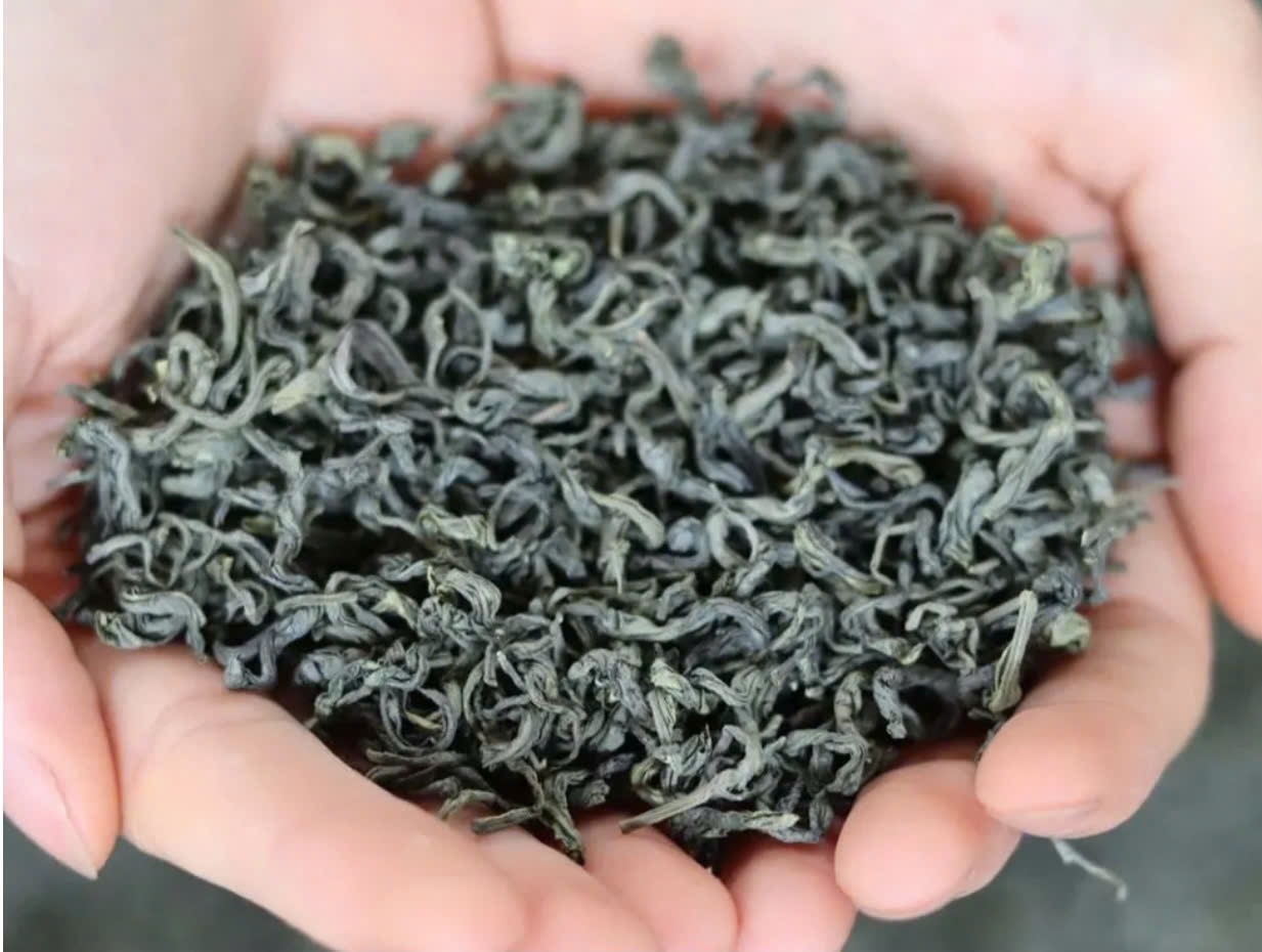 Tại sao người sành trà chỉ uống Trà Tân Cương Thái Nguyên