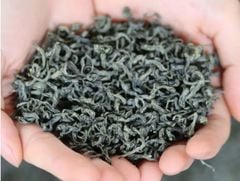 Một buổi sáng ở vùng trà Tân Cương- Thái Nguyên