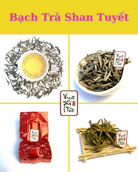 Hình ảnh bài viết