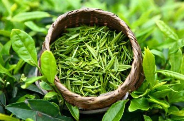 Hình ảnh bài viết