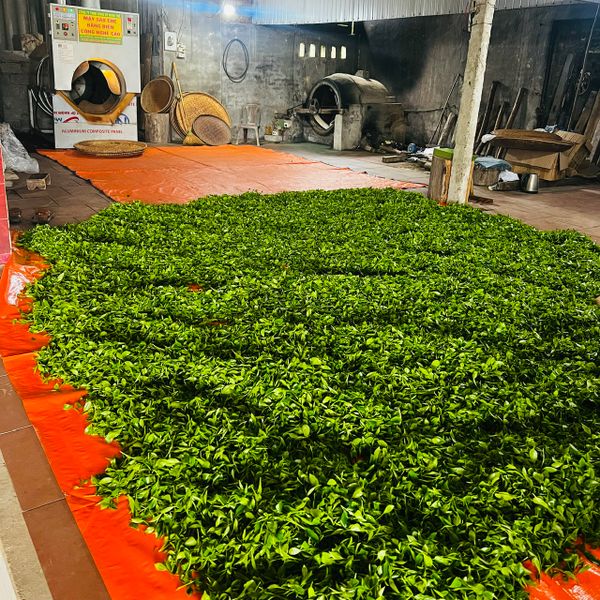 Hình ảnh bài viết