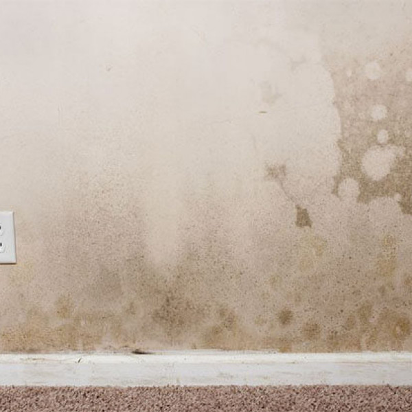 4 cách chống thấm tường nhà hiệu quả