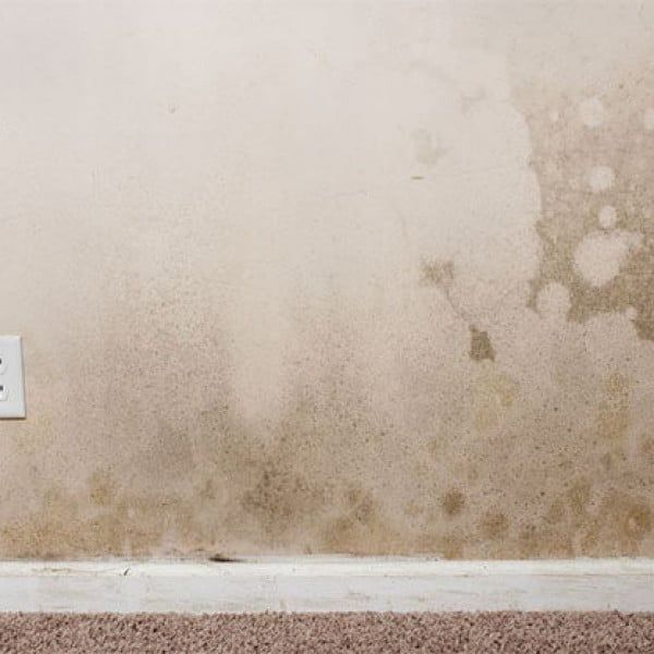 4 cách chống thấm tường nhà hiệu quả