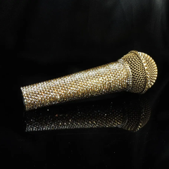 SM58: Chuẩn mực của micro