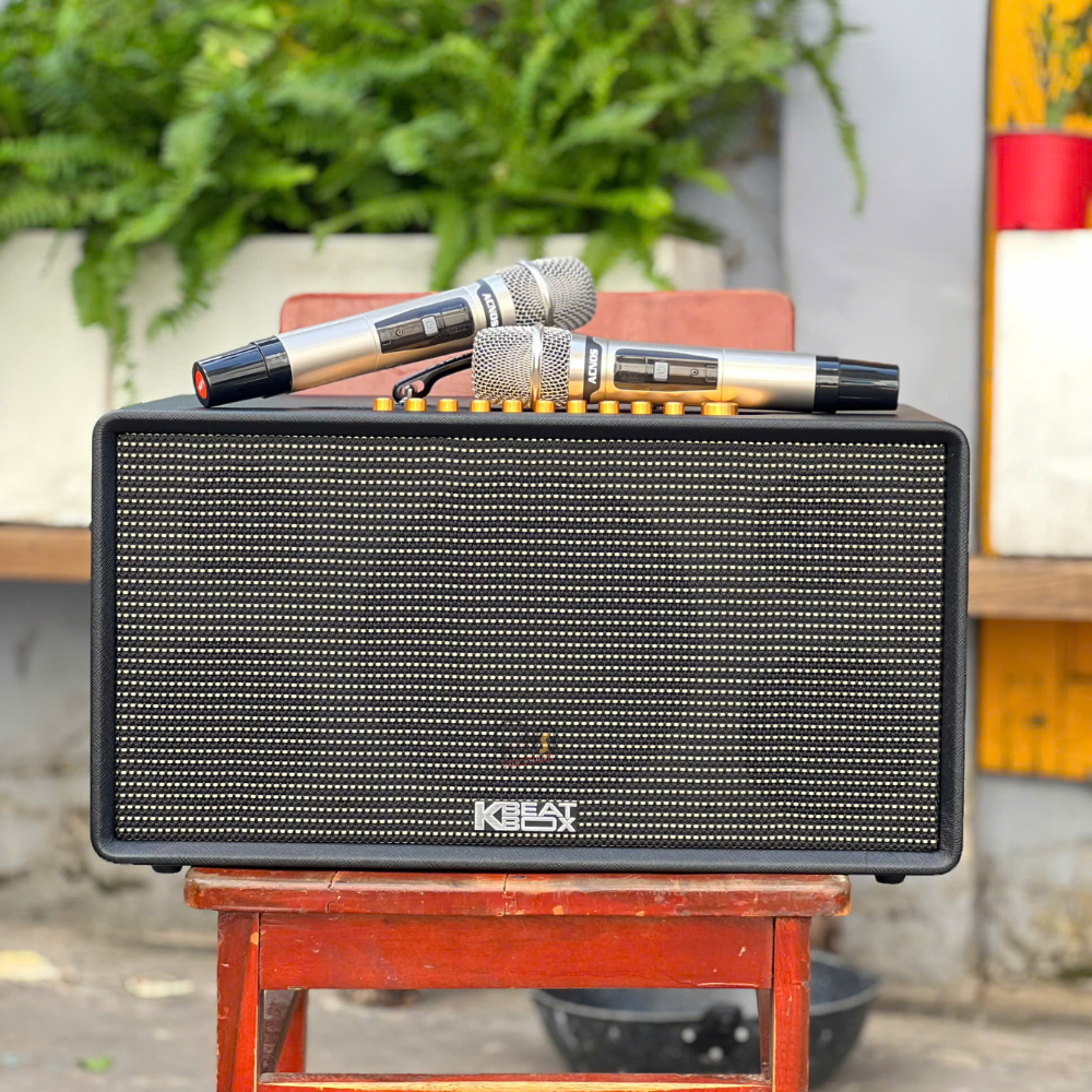 Hát Nhẹ Giọng Trong Trẻo Như Ca Sĩ Nhờ 2 Micro UHF Trên ACNOS FLAC 36