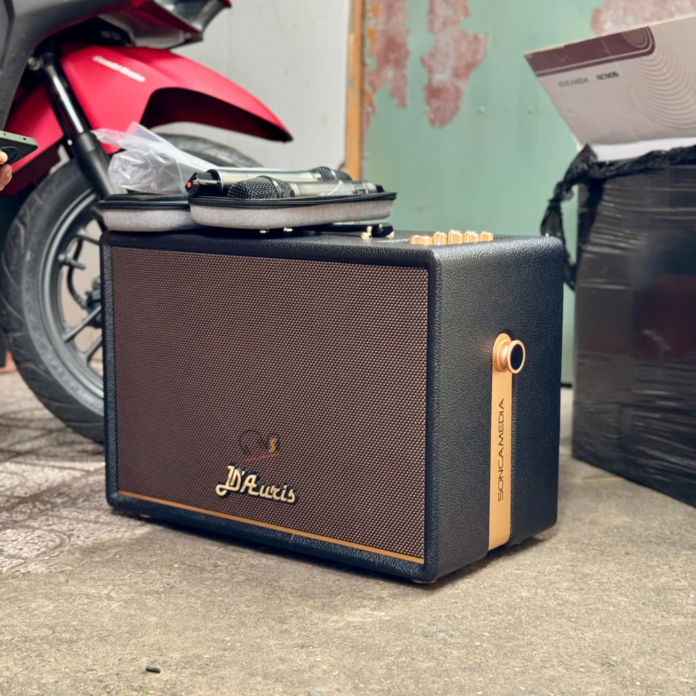 Tại sao Acnos D’Auris 300 lại khiến các tín đồ Karaoke phát cuồng?