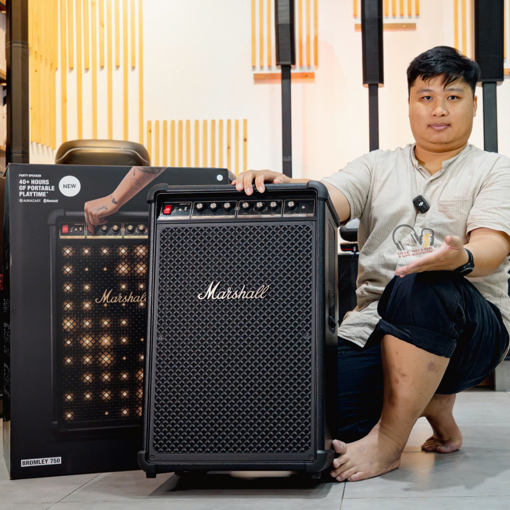 Bromley 750 Tuyệt Đỉnh Công Suất 500W và Chất Âm 360 True Stereophonic