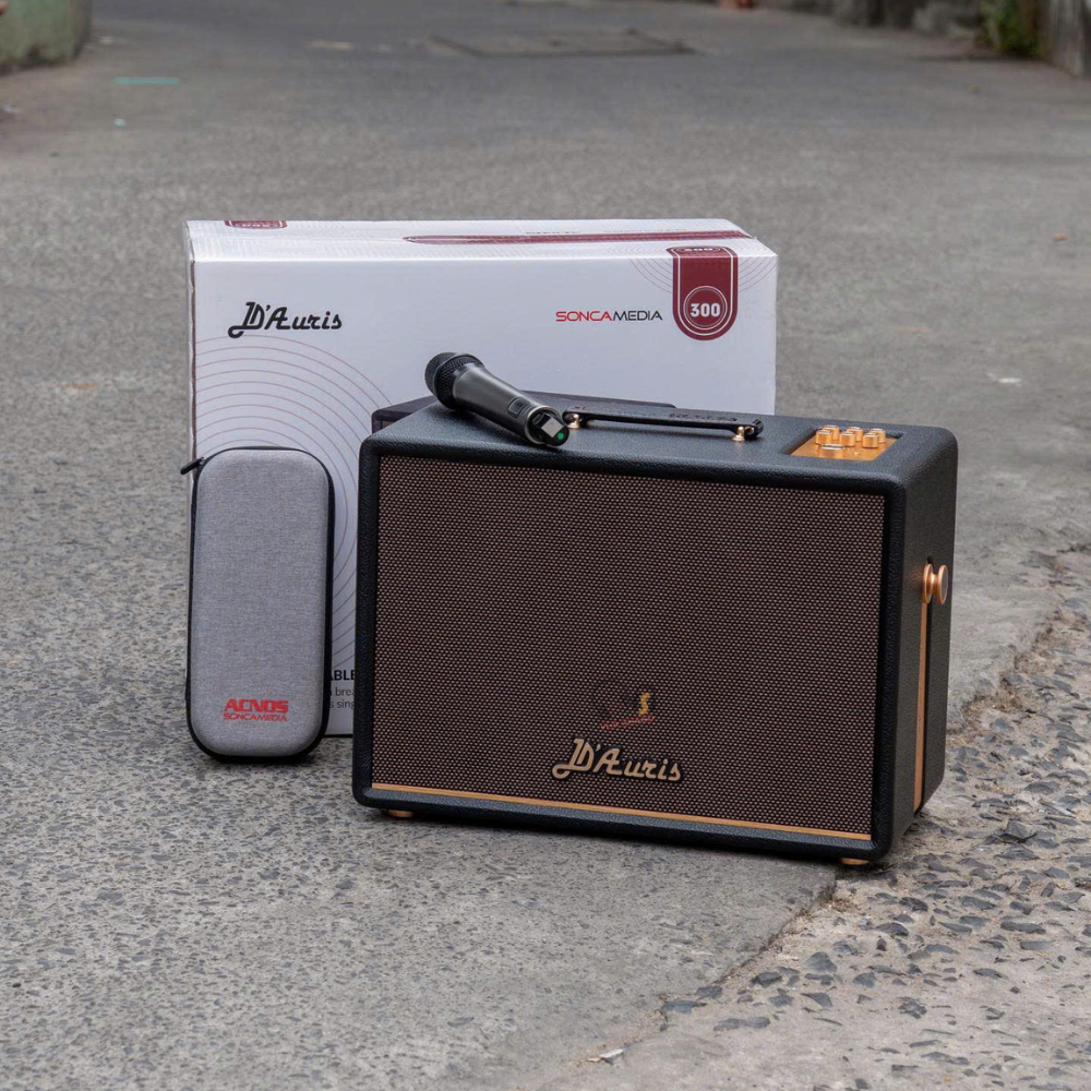 Tại Sao Acnos D’Auris 300 Là Chân Ái Cho Những Tín Đồ Mê Ca Hát?