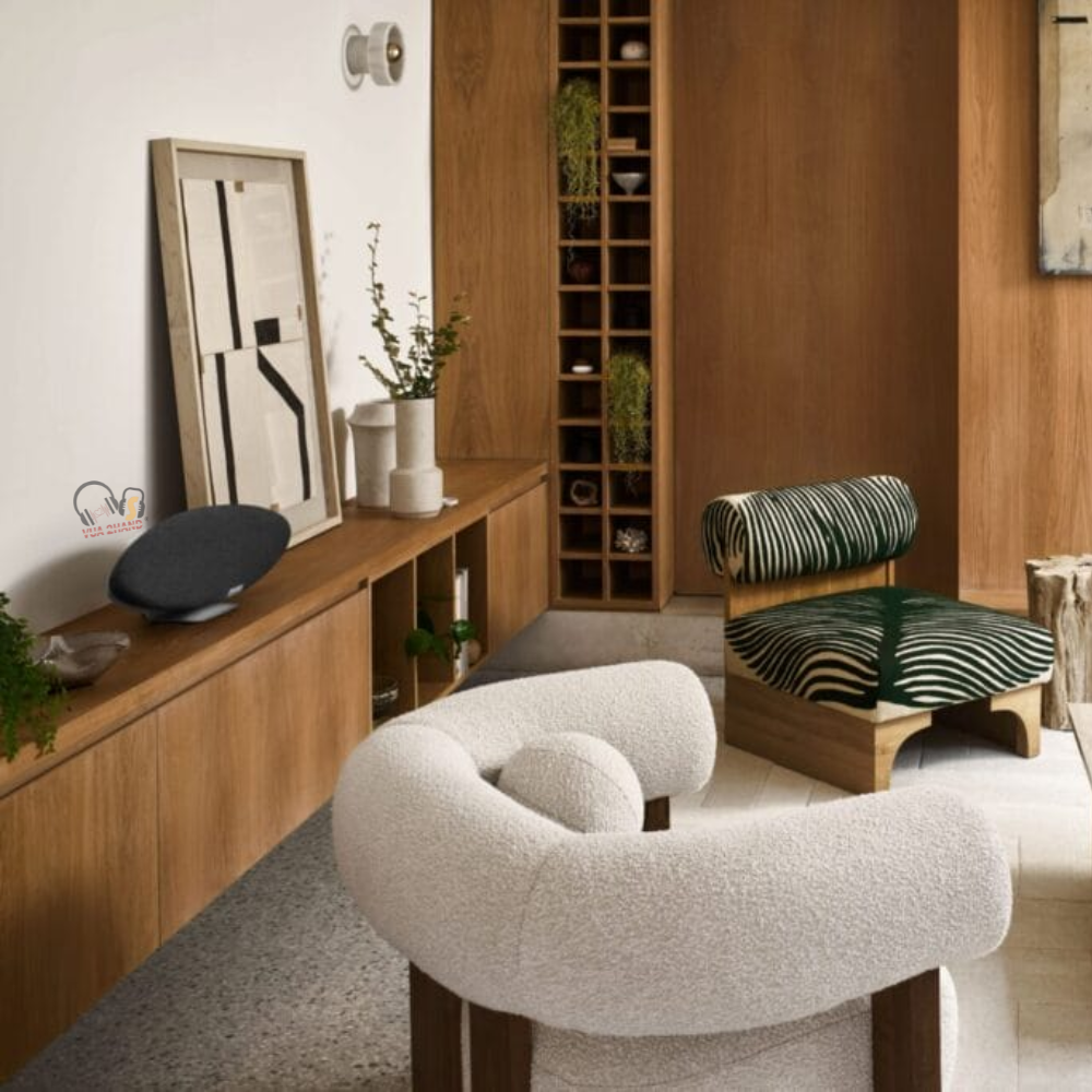 Trải Nghiệm Hệ Thống Đa Phòng Hoàn Hảo Với Zeppelin Pro Edition