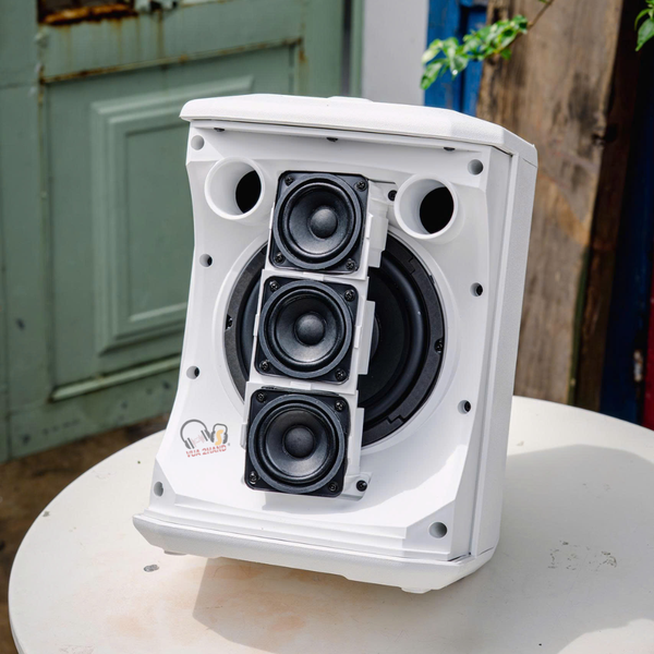 Đắt Hơn Loa Việt Nam Một Chút PROEL FreeOneX Của Ý Có Gì Đặc Biệt?