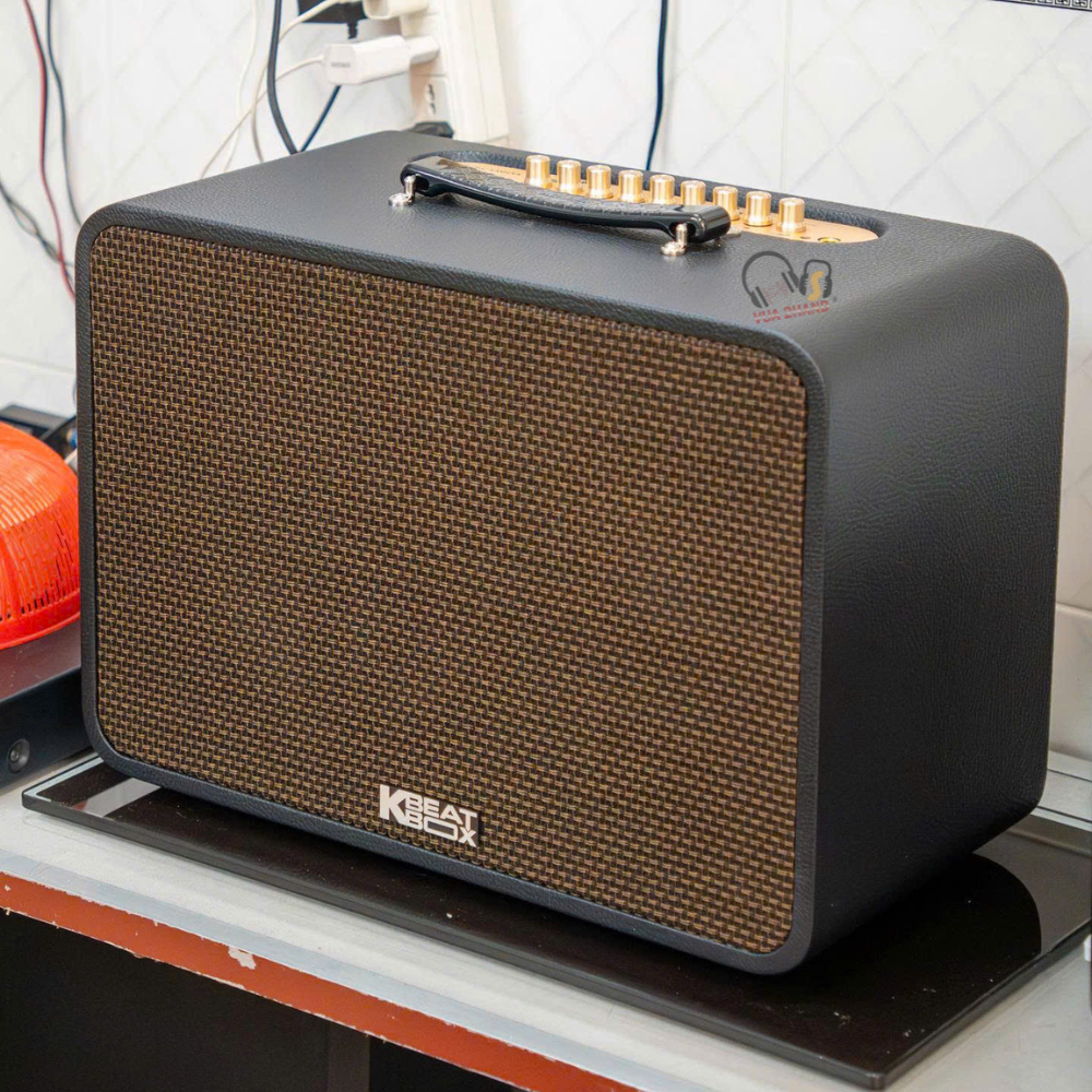 ACNOS CS250PRO Vua Loa Karaoke Xách Tay Mới - Đáng Tiền Đến Mức Nào?