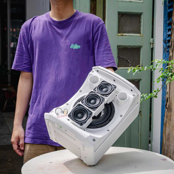 Kết Cấu Thành Phần Chính Bên Trong Loa di động cao cấp PROEL FreeOneX