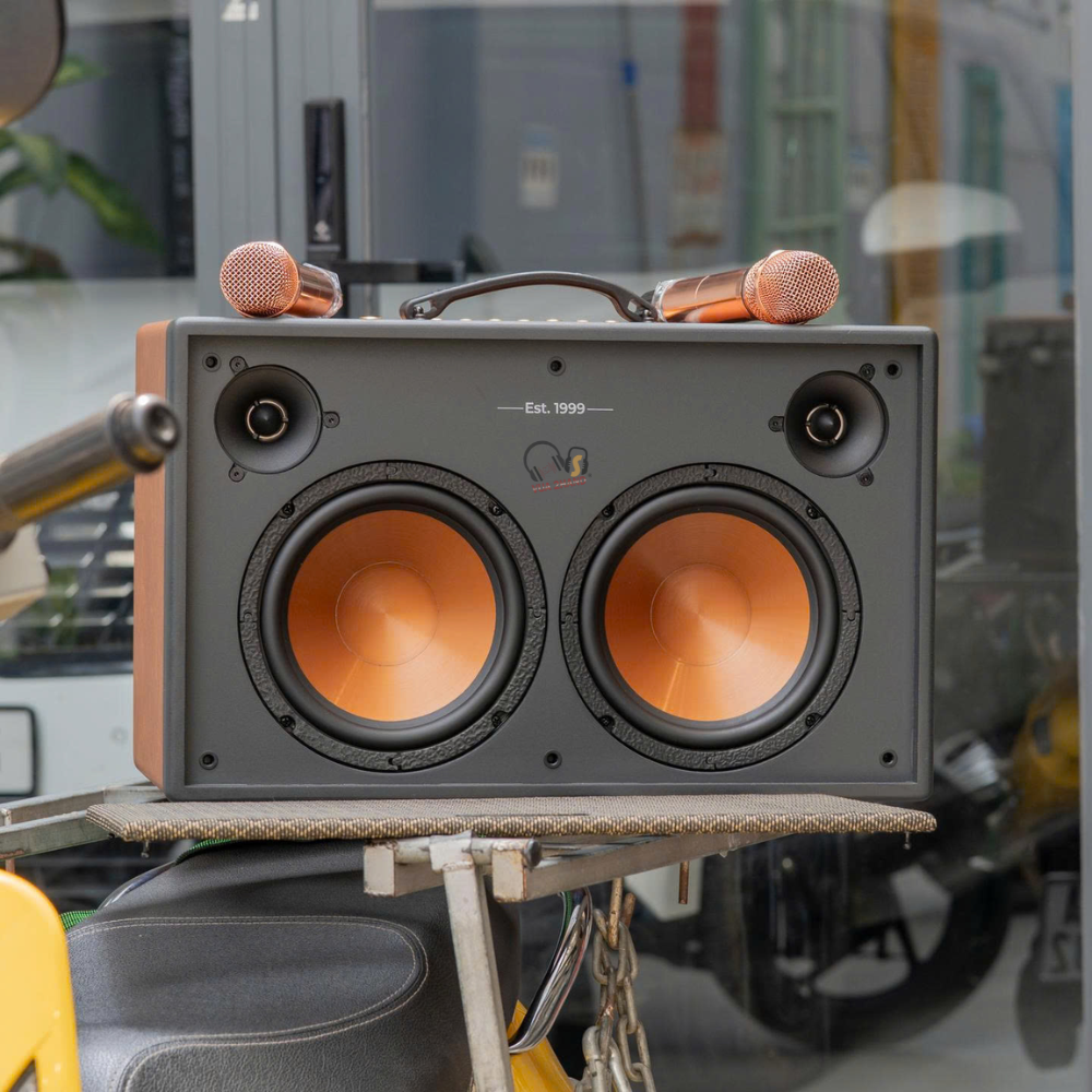 Paramax Saga khi loa karaoke khoác lên mình 