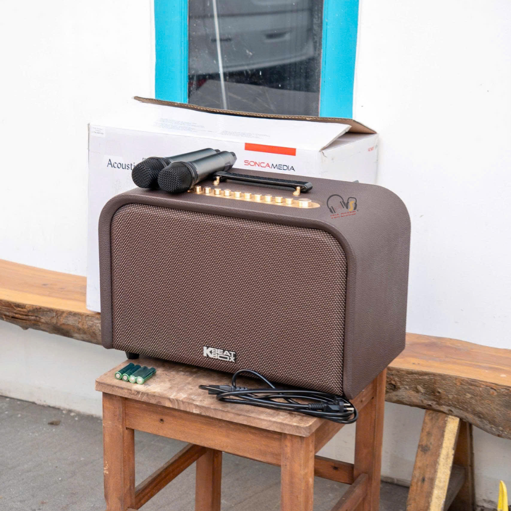 Giải mã công nghệ DSP, khả năng chống hú trên ACNOS Acoustic 3 Compact