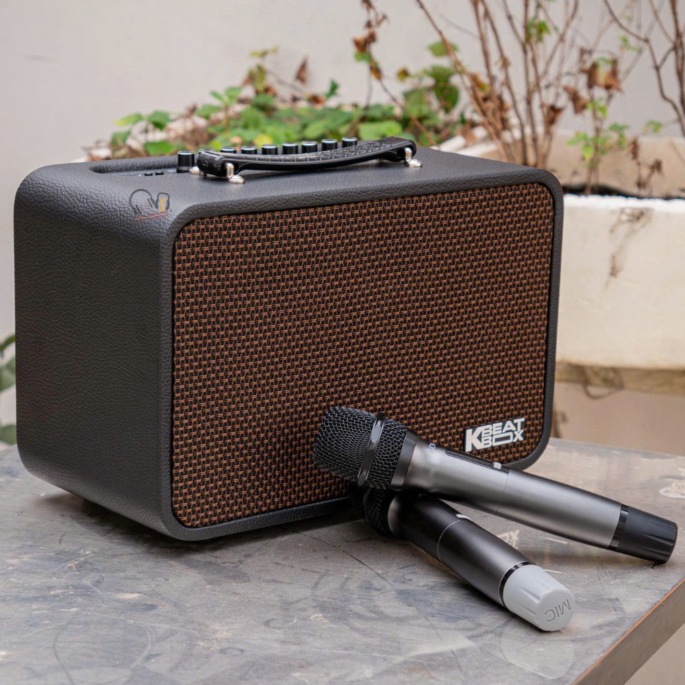 Công nghệ chống hú và boost Bass trên siêu phẩm mini Acnos CS160PRO