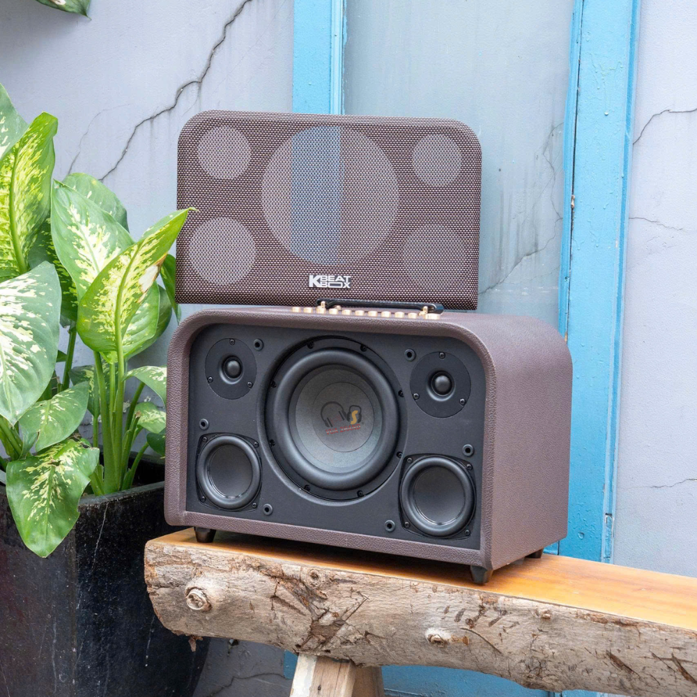 Soi cấu tạo loa và chip xử lý âm thanh của ACNOS Acoustic 3 Compact