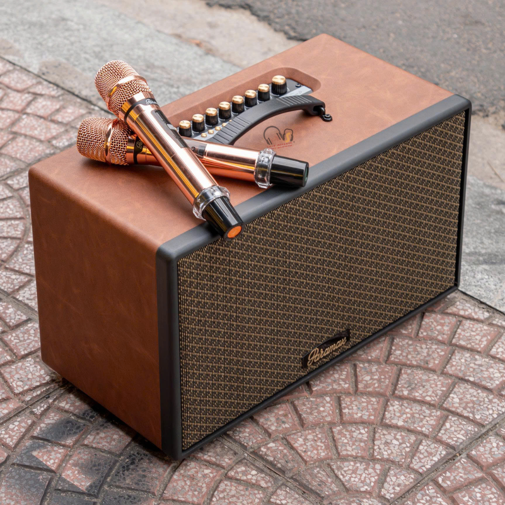 Chinh phục mọi dòng nhạc cùng công suất 250W từ PARAMAX Aura