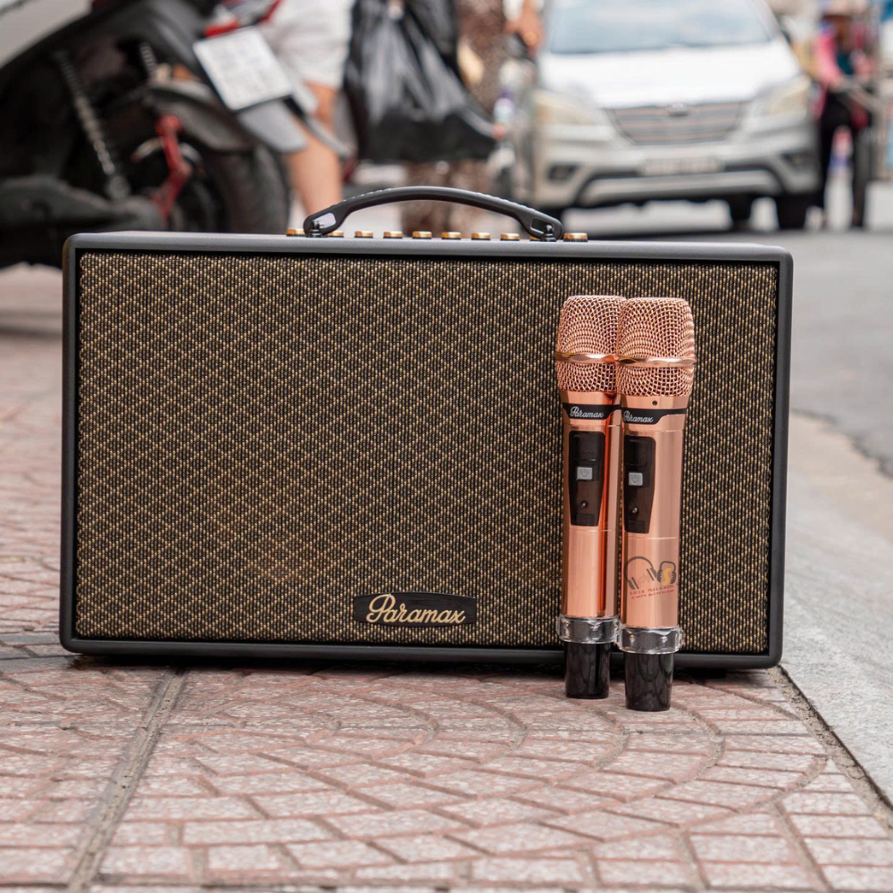 PARAMAX Aura Hát Karaoke cực phiêu với hiệu ứng Reverb chuyên sâu