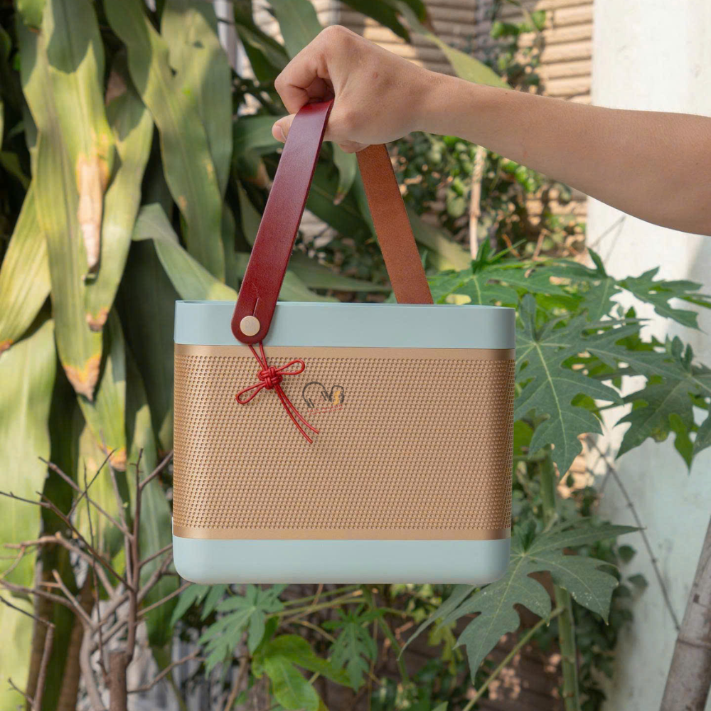 Ưu và nhược điểm chi tiết Bang & Olufsen Beolit 20