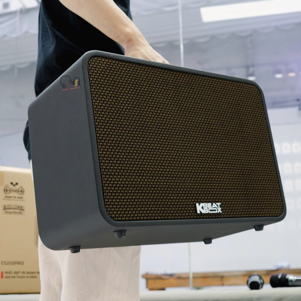 Đánh giá Loa Acnos CS250 Pro: Loa karaoke di động 