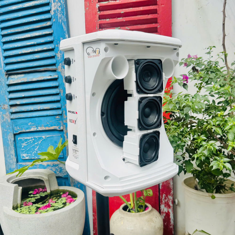Hát cực phiêu, biểu diễn cực đỉnh với loa PA di động PROEL FreeOneX