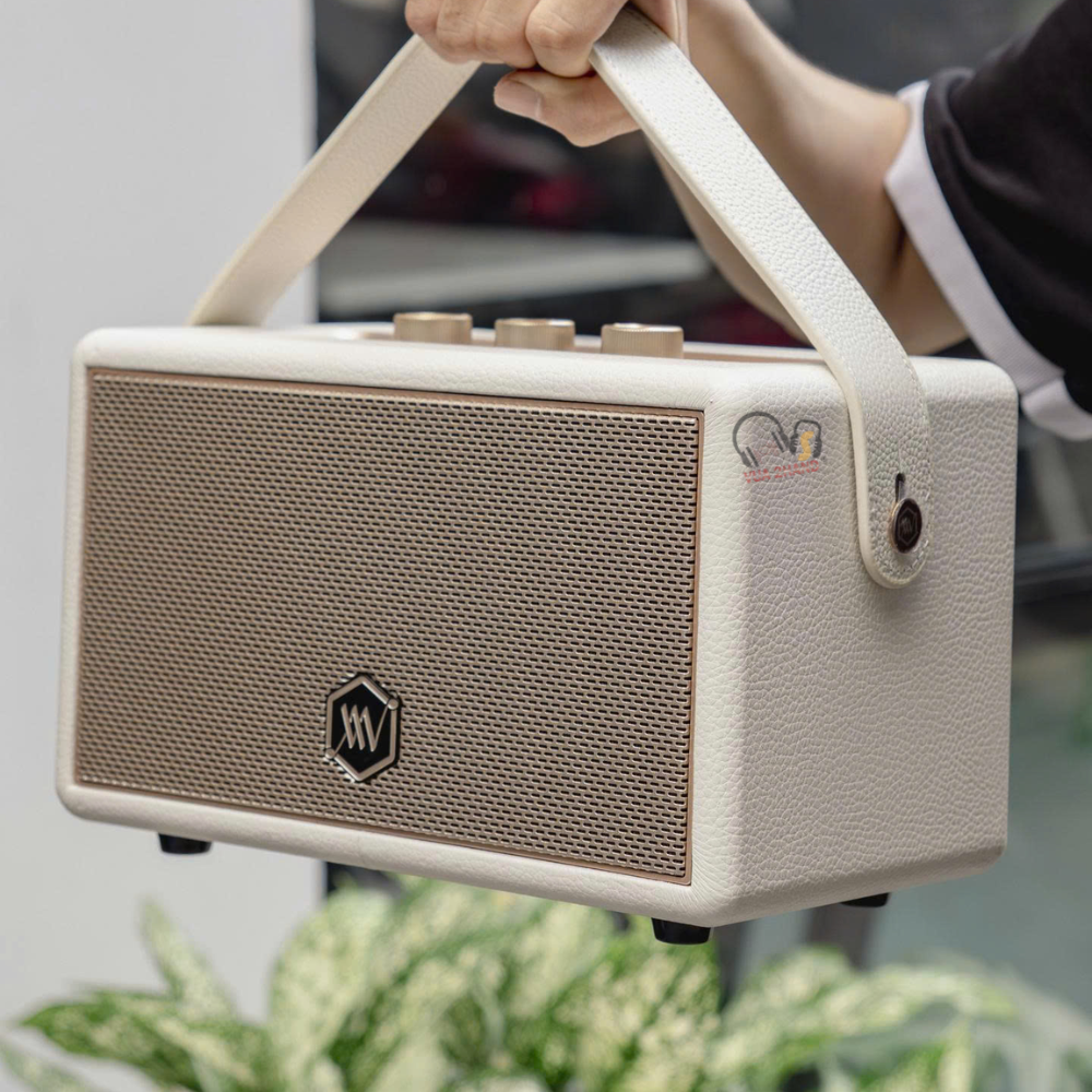 AW W89 Loa Di Động Mạnh Mẽ Vô Địch Tầm Giá, có Tinh Chỉnh Bass/Treble