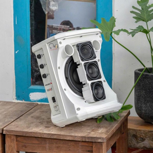 Chỉ 7.5kg nhưng âm thanh cực khủng – Khám phá ngay PROEL FreeOneX