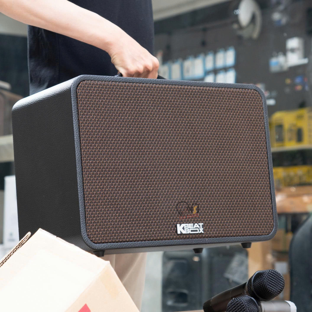 Đừng Mua Loa Karaoke Xách Tay Nếu Chưa Xem Qua Acnos CS250PRO