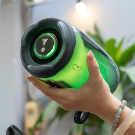 JBL Pulse 5 Loa di động không thể thiếu cho các buổi dã ngoại, du lịch