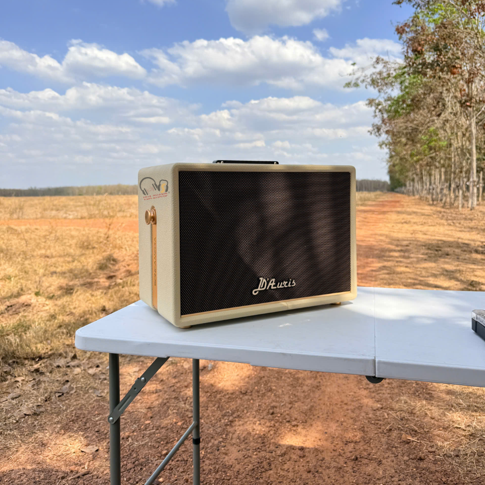 Cận cảnh Acnos D’Auris 300 :Tại sao đây là loa được săn đón nhất 2026?