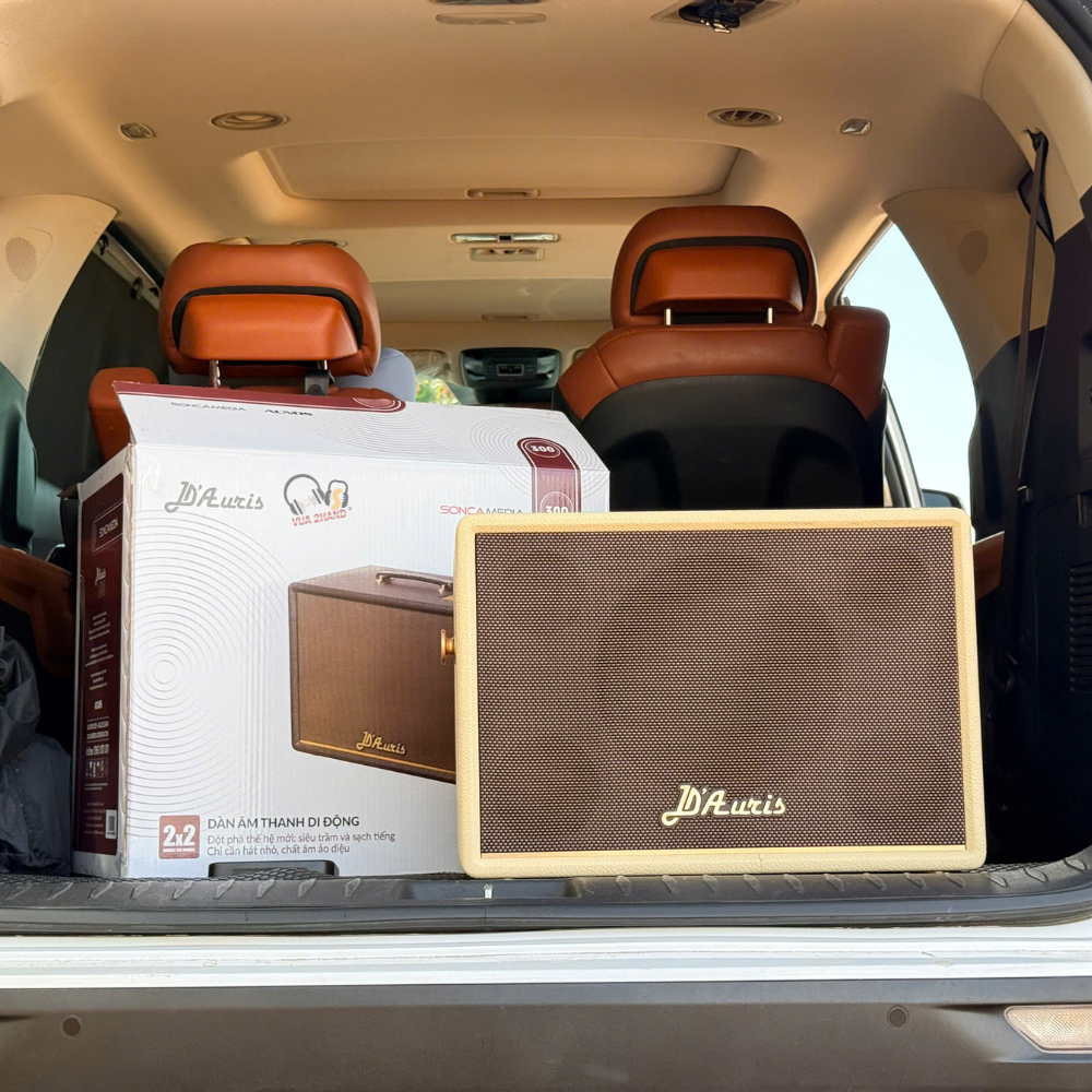 Loa karaoke Acnos D’Auris 300 liệu có xứng đáng đồng tiền bát gạo?