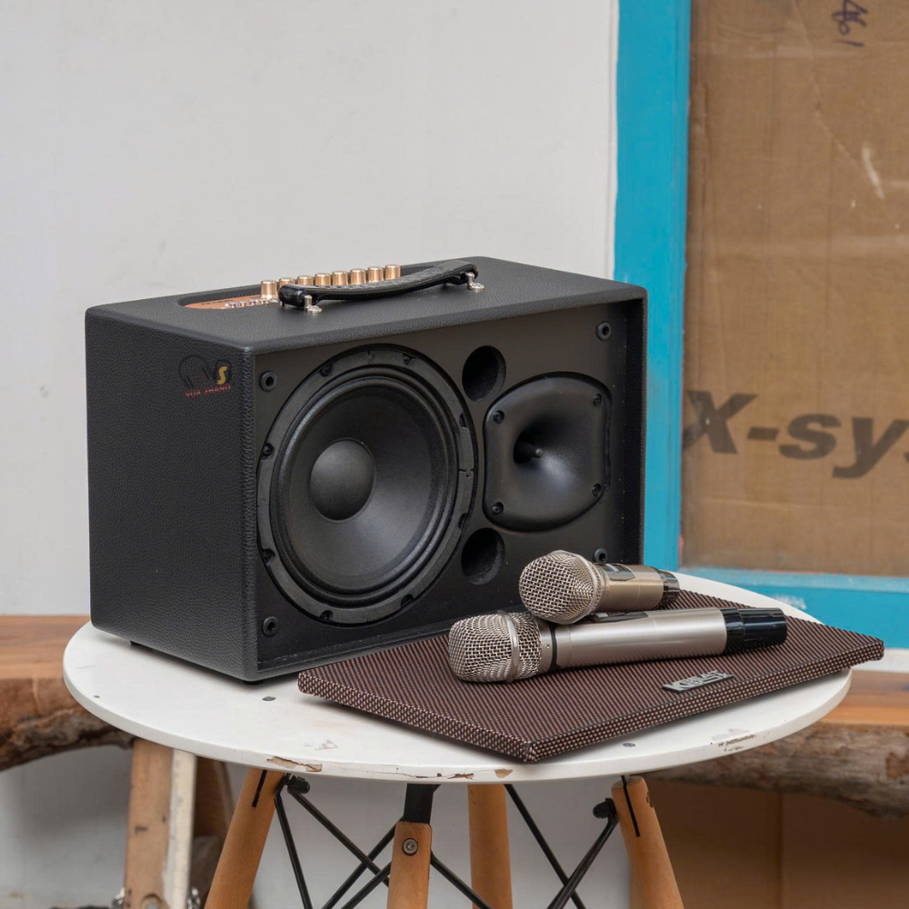 Trải nghiệm thực tế loa ACNOS CS201 PLUS nằm trong phân khúc giá rẻ