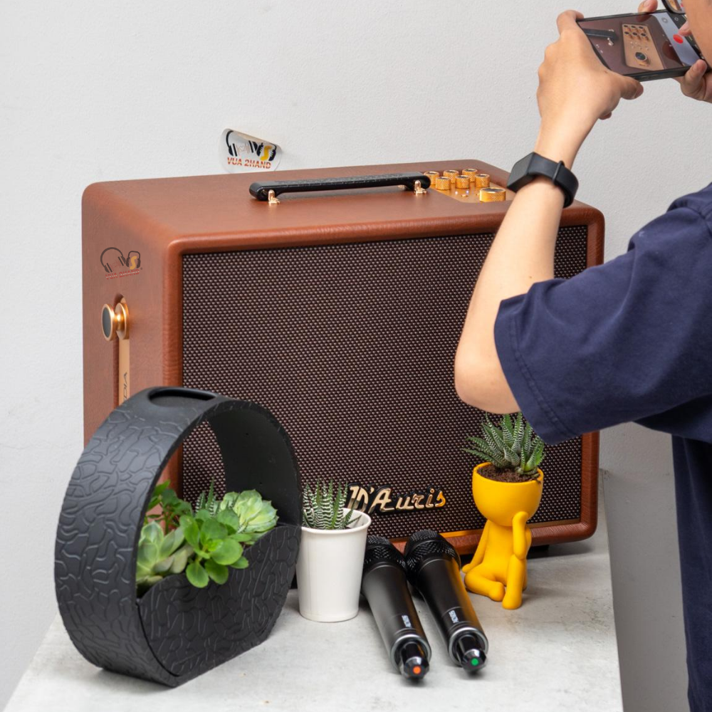 Siêu Phẩm Xách Tay Mới: ACNOS D'Auris 200 - Bass 25cm Đánh Siêu Uy Lực