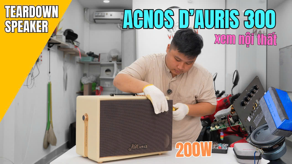 ACNOS D'AURIS 300 TEARDOWN - XEM NỘI THẤT LOA VIỆT NAM 2026