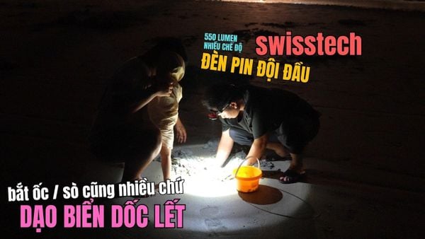 Tối Dạo Biển DỐC LẾT Bắt Ốc Quá Trời - ĐÈN PIN ĐỘI ĐẦU 550 LUMEN