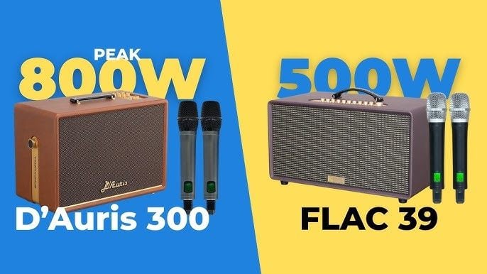 So Sánh Acnos D-AURIS 300 vs FLAC 39: Tầm 10 Triệu Chọn Loa Nào Hát?