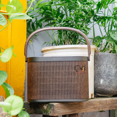 Loa Bang & Olufsen Beosound A5 Dark Oak Có Gì Hot?