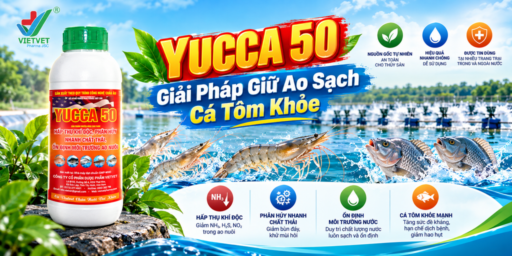 YUCCA 50 Giải Pháp Giữ Ao Sạch Cá Tôm Khỏe