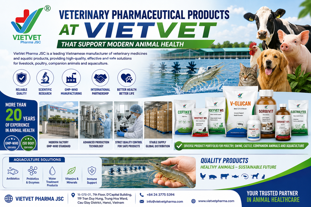Veterinary Pharmaceutical Products at Vietvet That Support Modern Animal Health