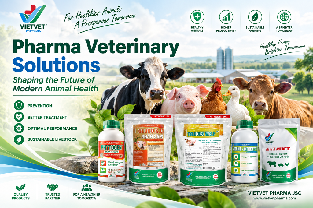 Pharma Veterinary Solutions Shaping the Future of Modern Animal Health